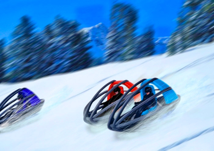 Slegoon Caged Snow Sled With Seat and Steering