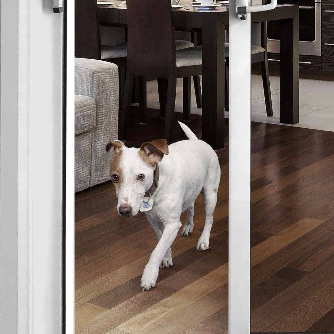 AutoSlide Automatic Sliding Glass Door Opener For Dogs - Dog collar sensor door opener