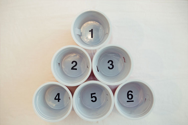 Slip Cups - Beer Pong Cup Inserts