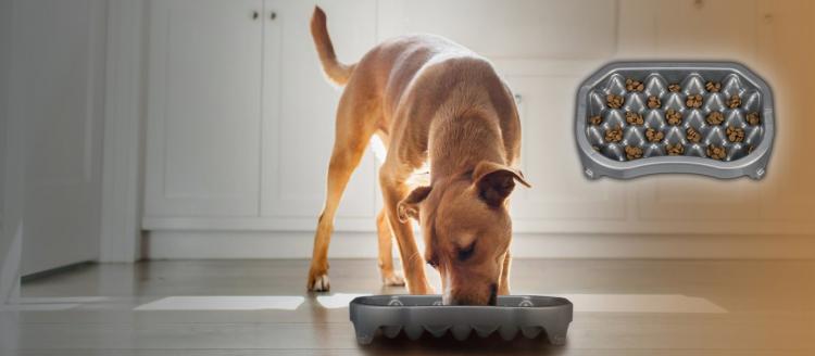 Neater Pets Slow Feeding Dog Bowl - Ridges slow-feed dog tray
