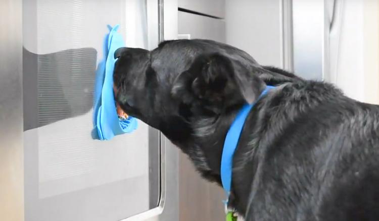 Slow Treater: Wall Mounted Treat Lick To Distract Dogs While Bathing - Peanut butter dog bath distraction tool