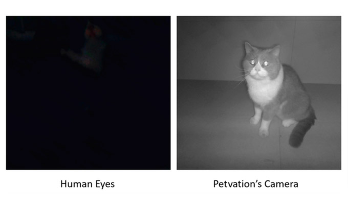 Petvation Smart Automatic AI Doggie Door With Facial Recognition