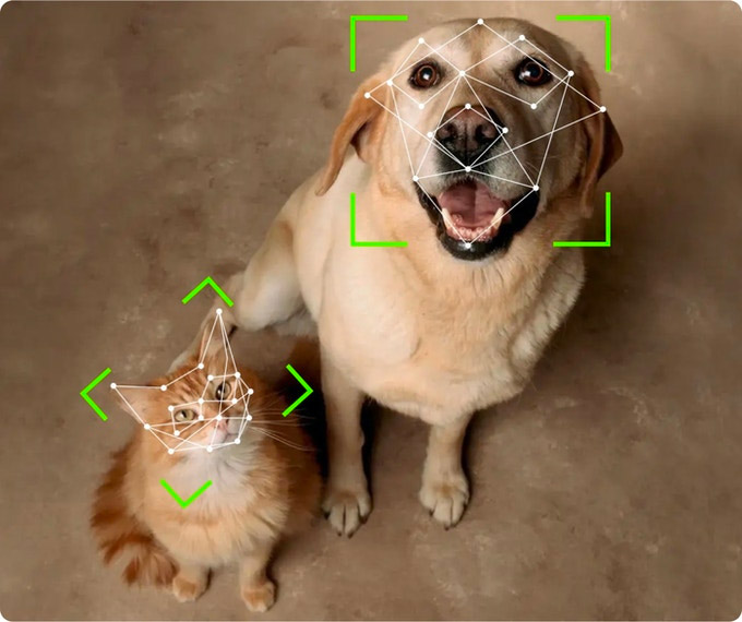 Petvation Smart Automatic AI Doggie Door With Facial Recognition
