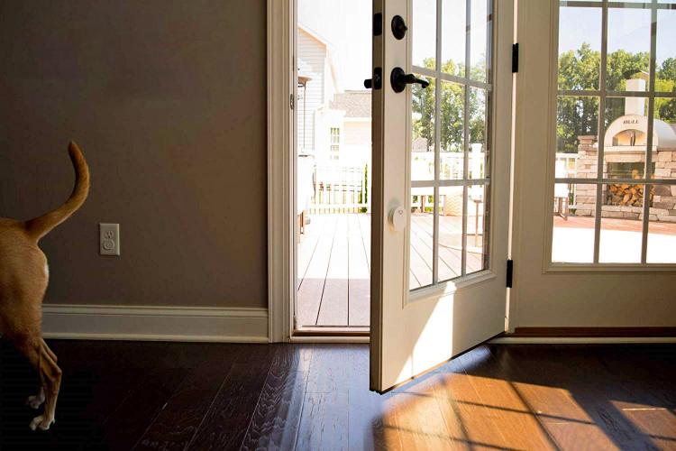 Mighty Paw Smart Dog Door Bell Lets You Know When Your Dog Needs To Go Outside