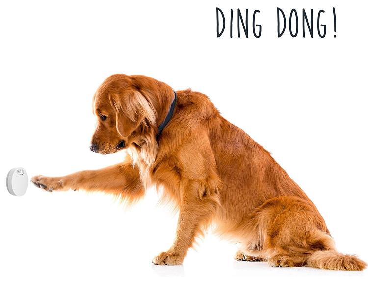 Mighty Paw Smart Dog Door Bell Lets You Know When Your Dog Needs To Go Outside