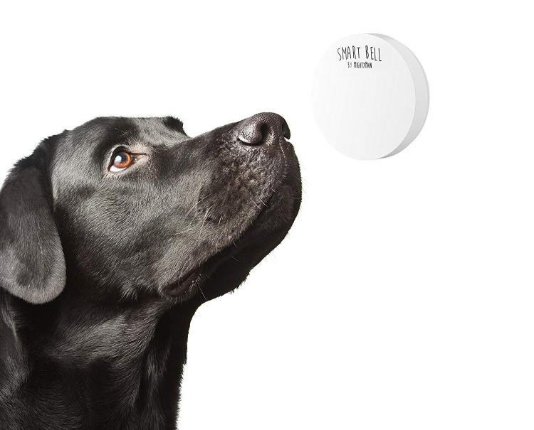 Mighty Paw Smart Dog Door Bell Lets You Know When Your Dog Needs To Go Outside