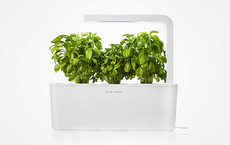 Smart Herb Home Garden Starter Kit - NASA Plant Technology