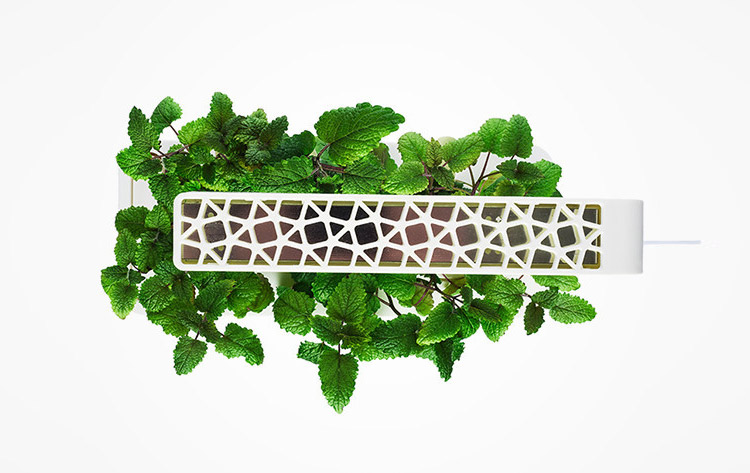 Smart Herb Home Garden Starter Kit - NASA Plant Technology