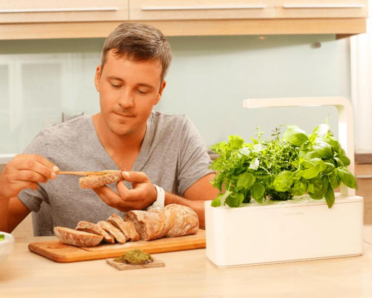 Smart Herb Home Garden Starter Kit - NASA Plant Technology