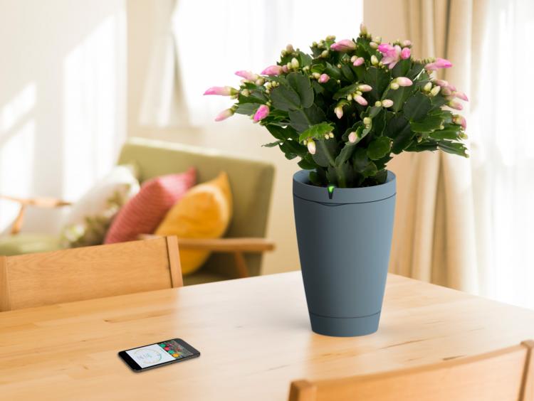 Parrot Smart Watering Pot - Automatic Plant Watering Pot - Smart Phone Plant Pot