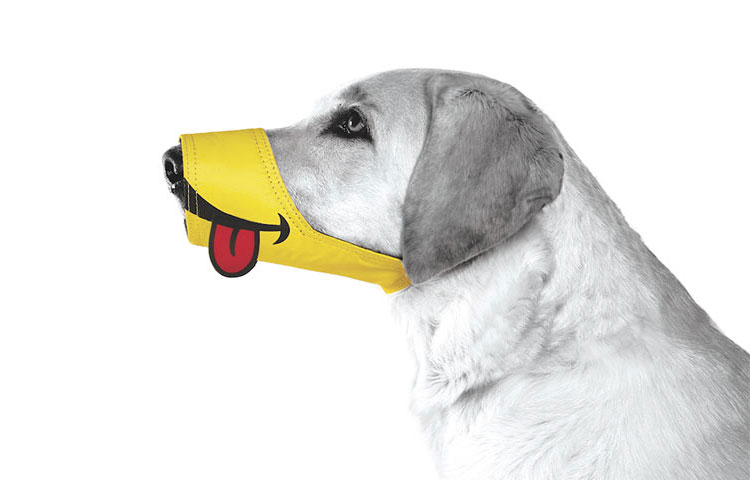 Smiling Dog Muzzle With Tongue Sticking Out