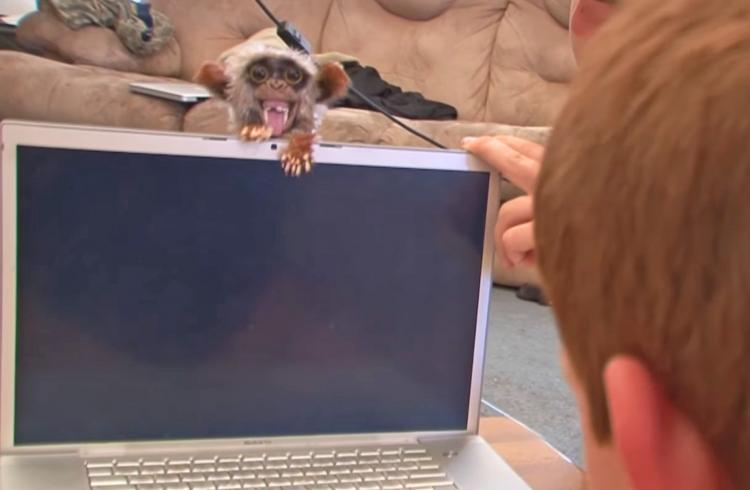 Sneekums Pop-up Prank Monkey Toy