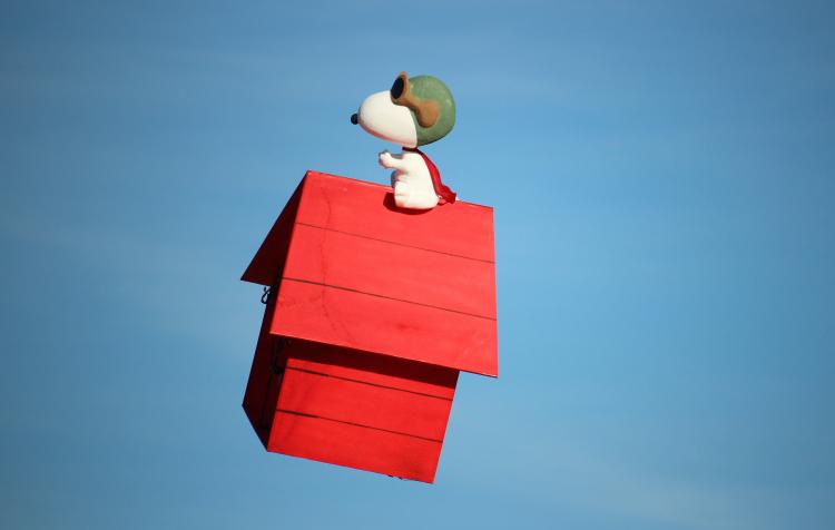 RC Snoopy Dog House Quadcopter Drone