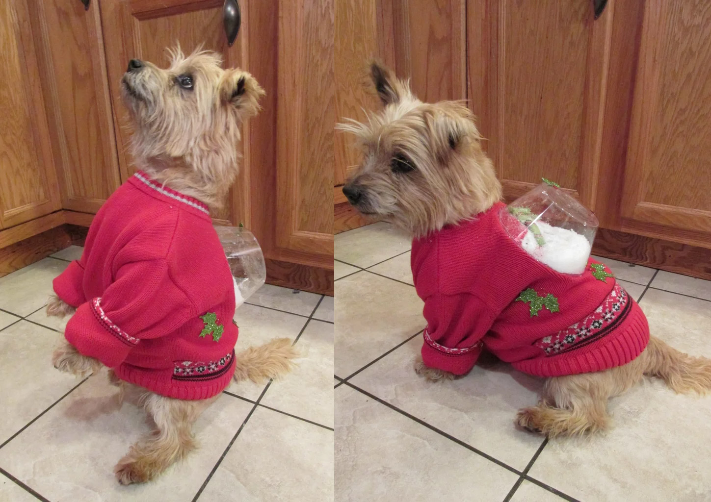 Snow Globe Ugly Christmas Sweater For Dogs - Dog ugly sweater