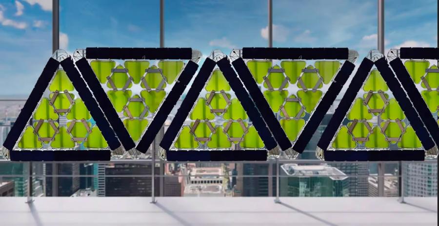 Solar Algae Biopanel Windows