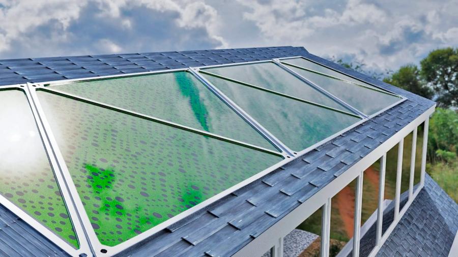 Solar Algae Biopanel Windows