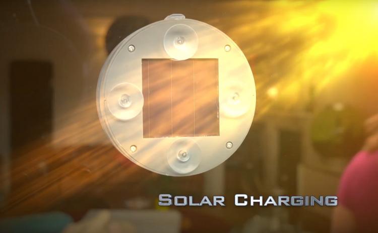 Solar Buzzkill Solar Powered Mosquito Zapper - Solar bug zapper