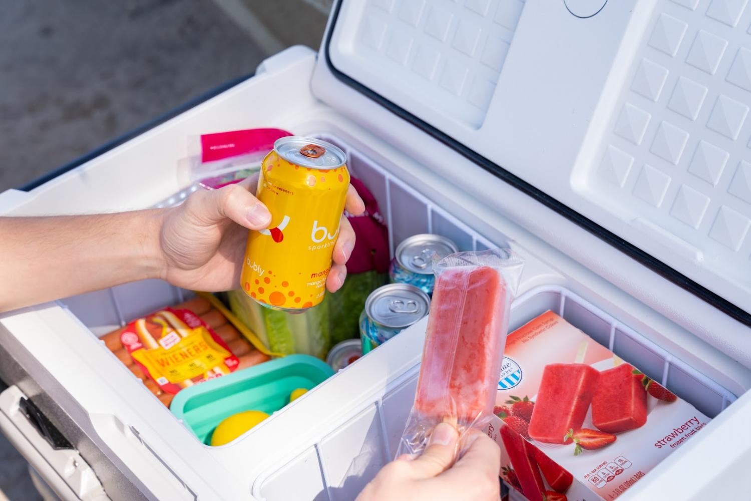GoSun electric solar powered cooler