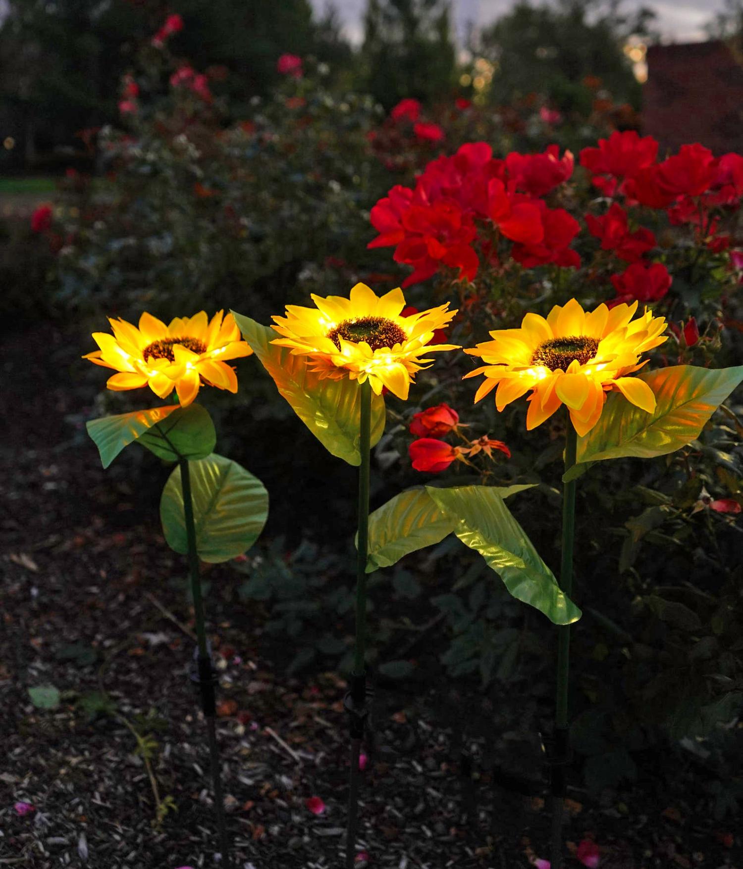 Solar Powered Sunflower Lights