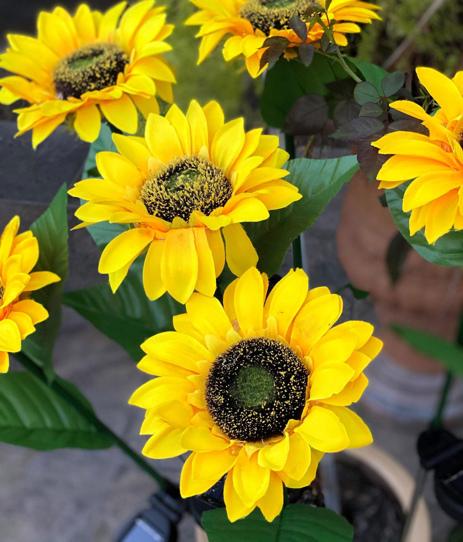 Solar Powered Sunflower Lights
