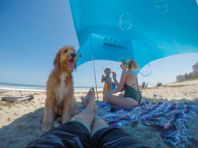 Sombra Shade Instant Beach Shader Tent - Sand Weighted Beach Shade Tent