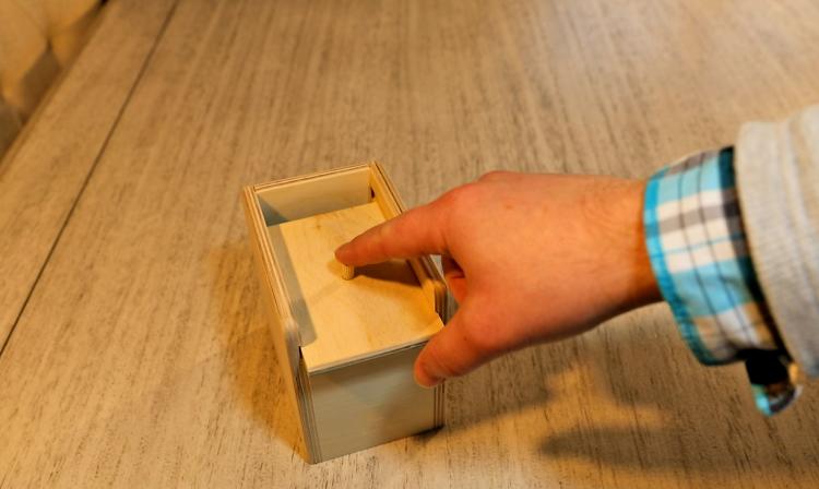 Spider Scare Box - Jumping Spider Prank Wooden Box