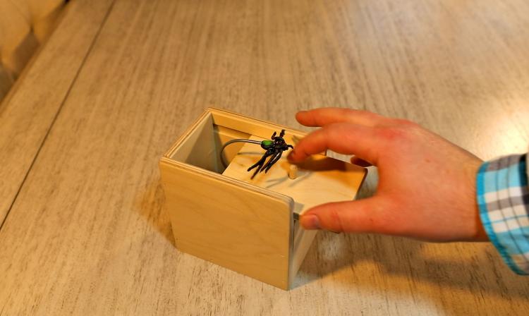 Spider Scare Box - Jumping Spider Prank Wooden Box