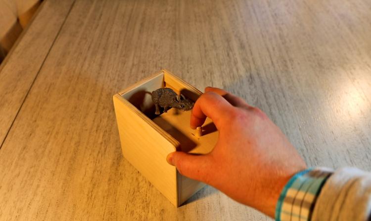 Mouse Scare Box - Jumping Rat Prank Wooden Box