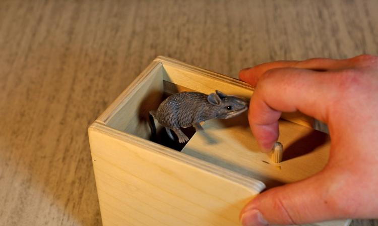 Mouse Scare Box - Jumping Rat Prank Wooden Box