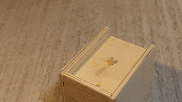 Spider Scare Box - Jumping Spider Prank Wooden Box