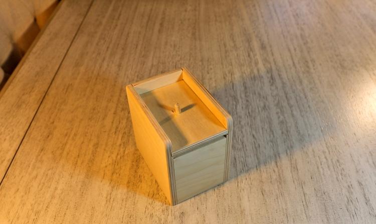 Spider Scare Box - Jumping Spider Prank Wooden Box