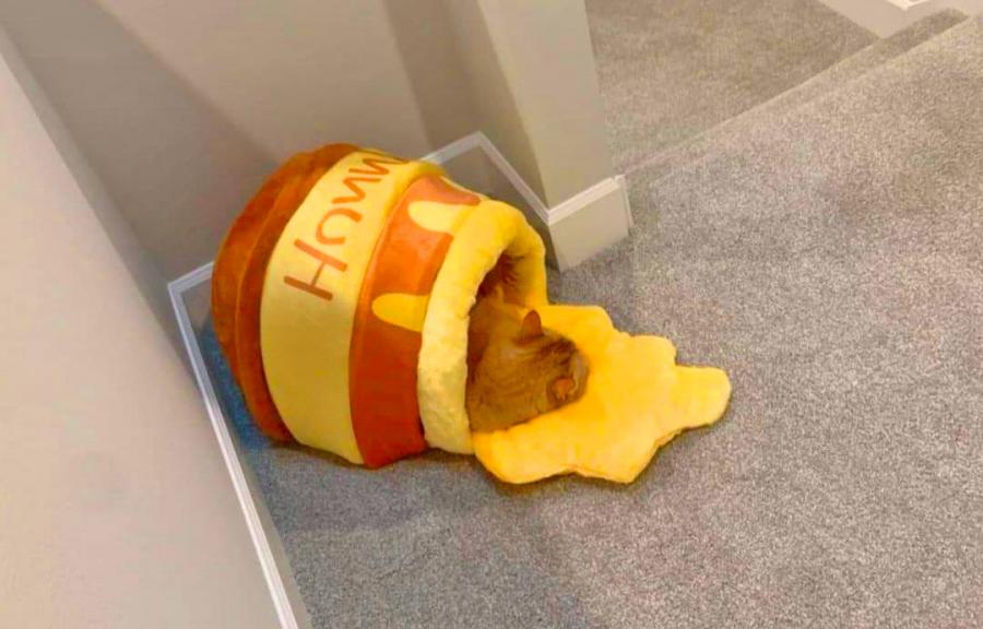 Winnie the Pooh Spilled Honey Pot Cat Bed