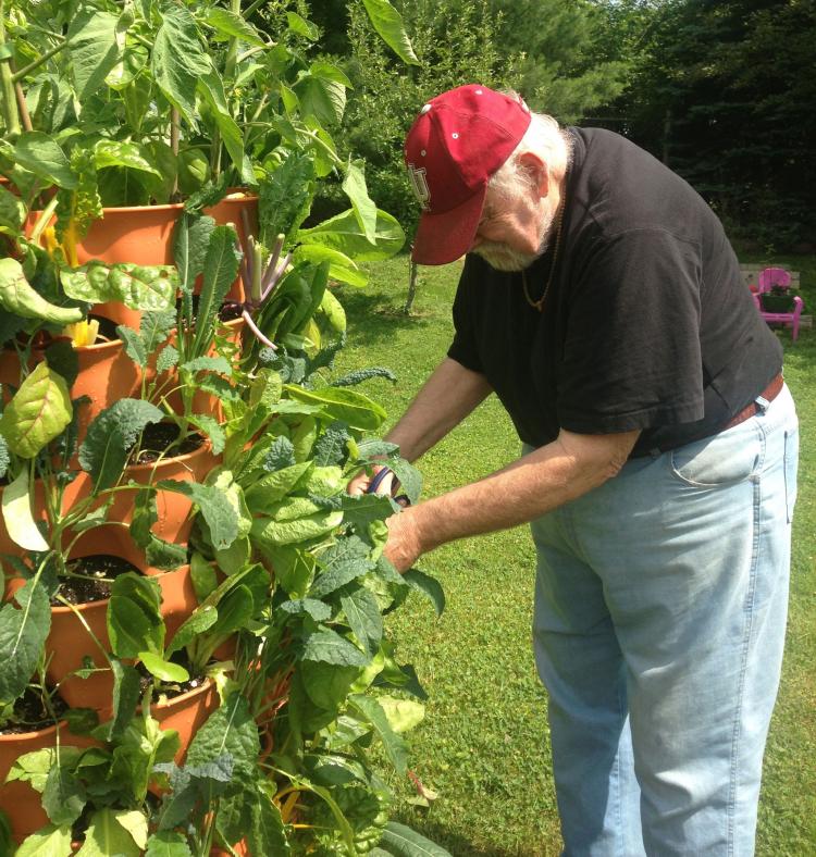 Garden Tower - Rotating Garden grows 50 plants in 4 square feet - apartment garden - no yard garden