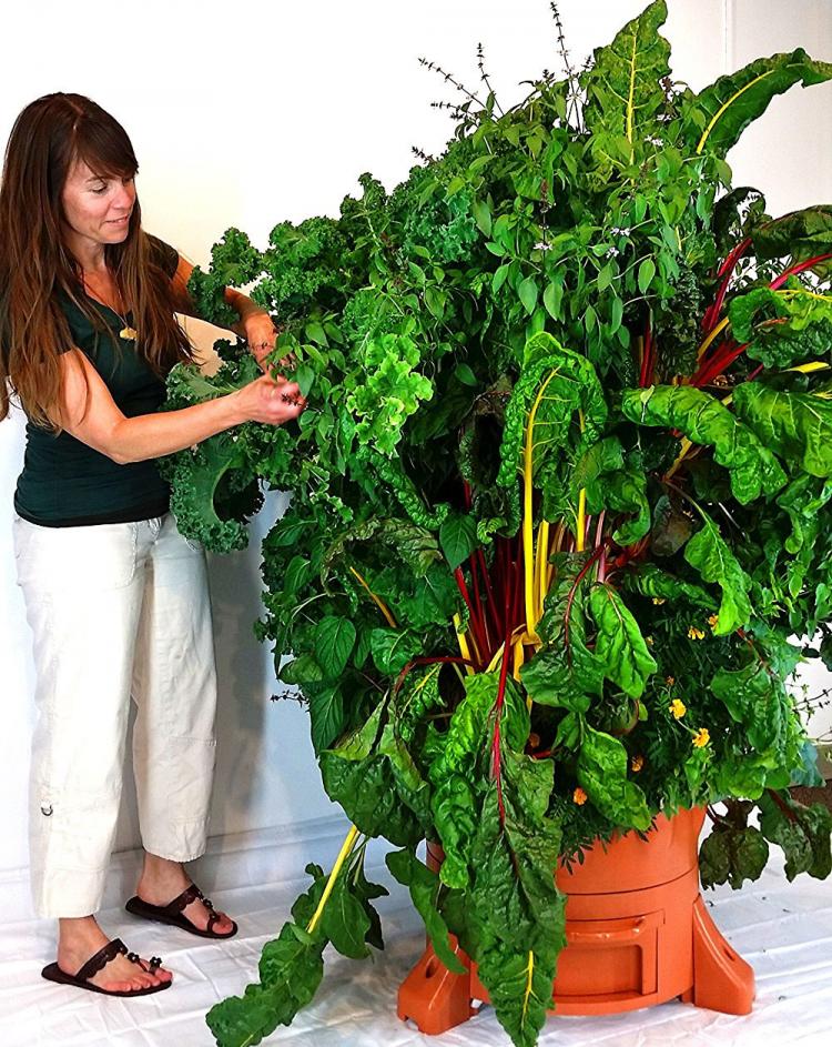 Garden Tower - Rotating Garden grows 50 plants in 4 square feet - apartment garden - no yard garden