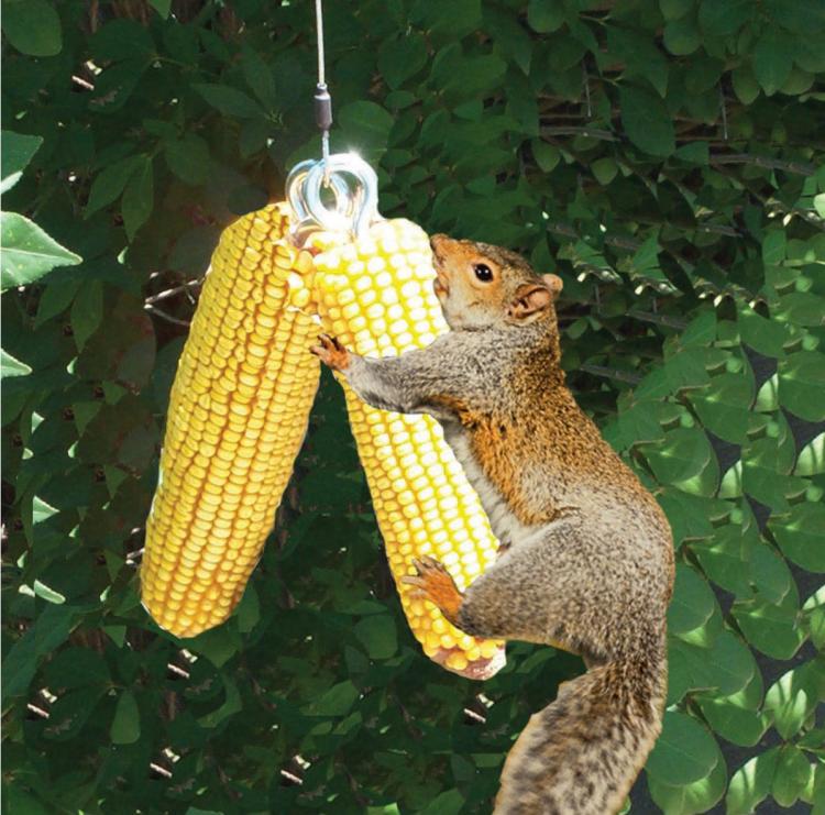 Squirrel Bungee Cord Feeder