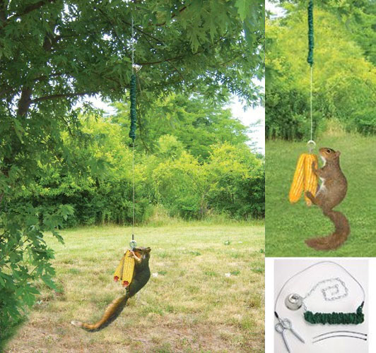 Squirrel Bungee Cord Feeder