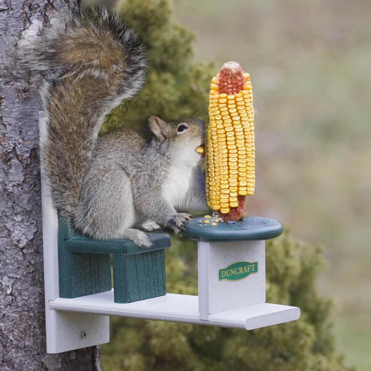 Squirrel Table and Chair - Yard Squirrel Dining Set - Corn Cob Squirrel Table