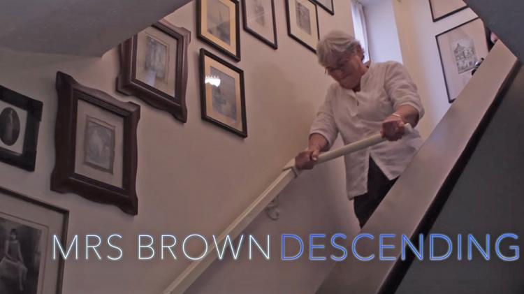 StairSteady Sliding Support Handle For Stairs - Best Senior stairs mobility assistance