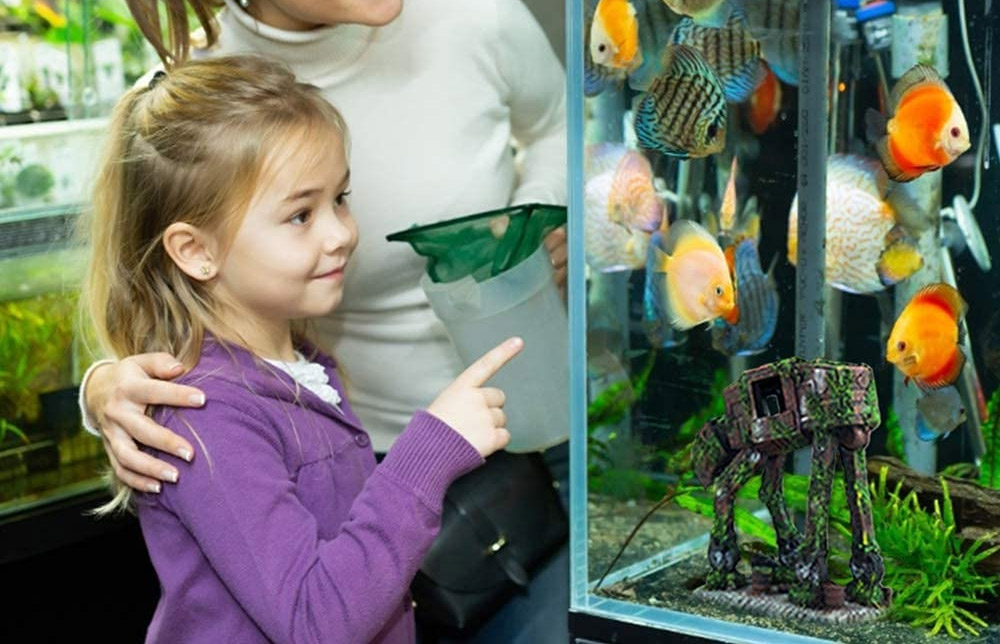 Star Wars At-At Aquarium Statue