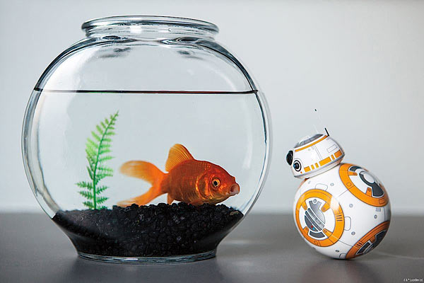 star wars sphero droid