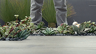 star wars sphero droid - GIF