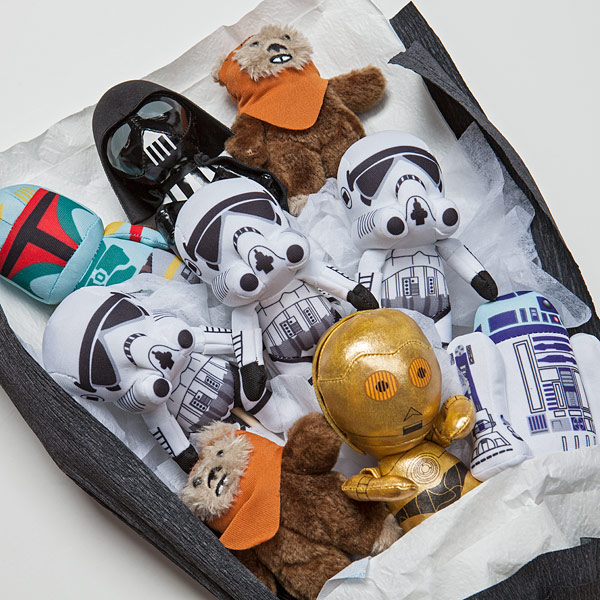 Star Wars Valentine's Day Flower Bouquet