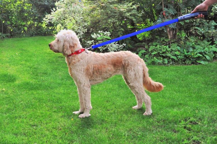 Star Wars Light-Up Lightsaber Dog Leash - Illuminated Geeky Star Wars Light Saber Dog Lead