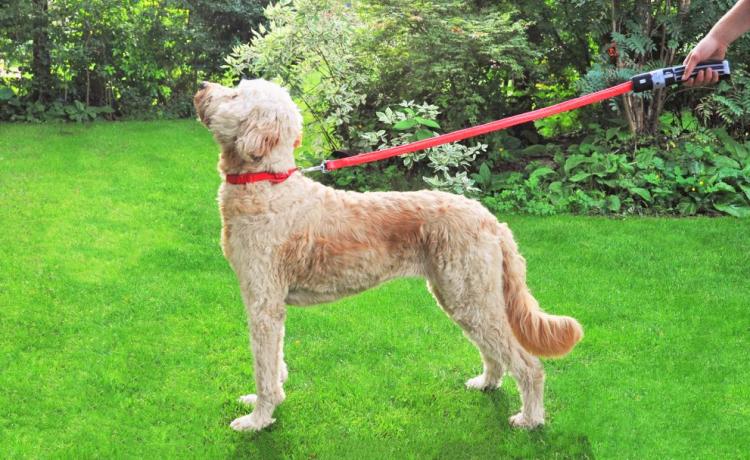 Star Wars Light-Up Lightsaber Dog Leash - Illuminated Geeky Star Wars Light Saber Dog Lead