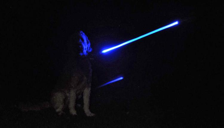 Star Wars Light-Up Lightsaber Dog Leash - Illuminated Geeky Star Wars Light Saber Dog Lead