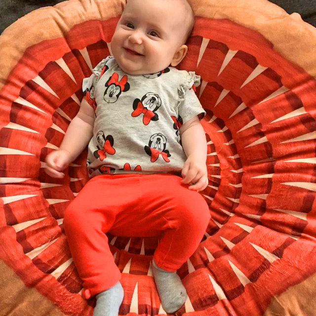 Star Wars Sarlacc Pit Pillow - The Great Pit Of Carkoon baby pillow, dog/cat bed