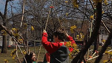 Stick-Lets Rubber Connectors To Make Forts From Sticks