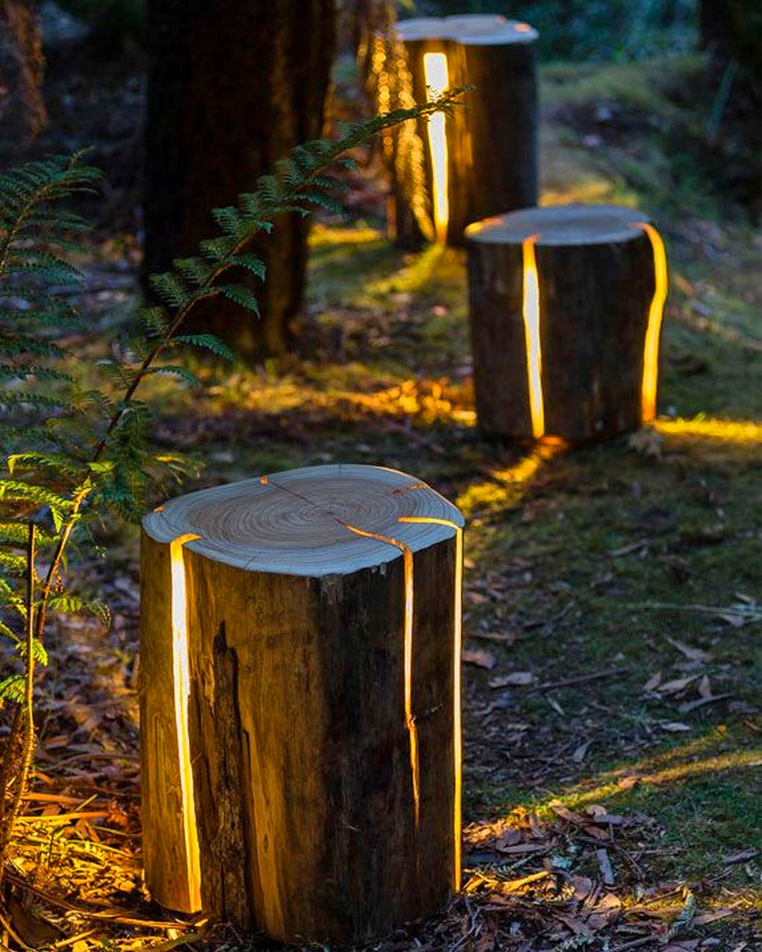 Stump Light - Cracked Log Lamp