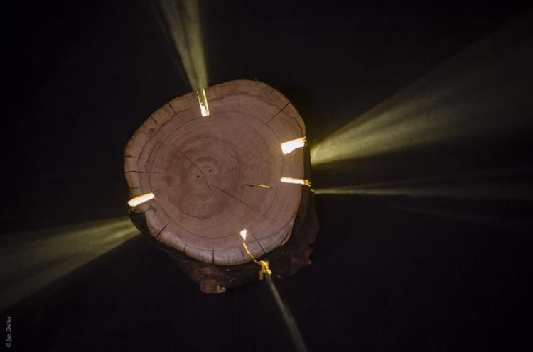 Stump Light - Cracked Log Lamp