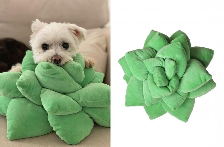 Succulent Cactus Decor Pillow
